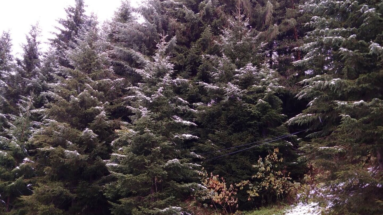 Photo of Outdoor in Bielle