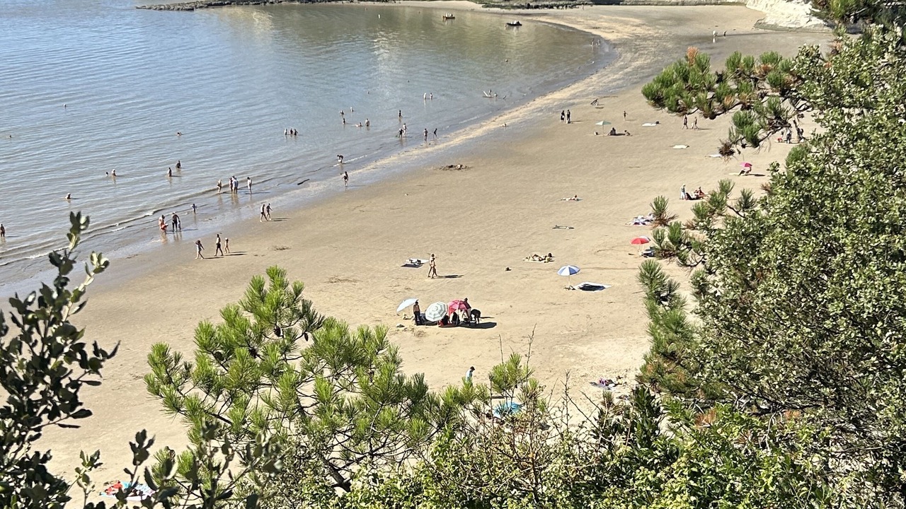 Photo of Others in Chenac-Saint-Seurin-d'Uzet