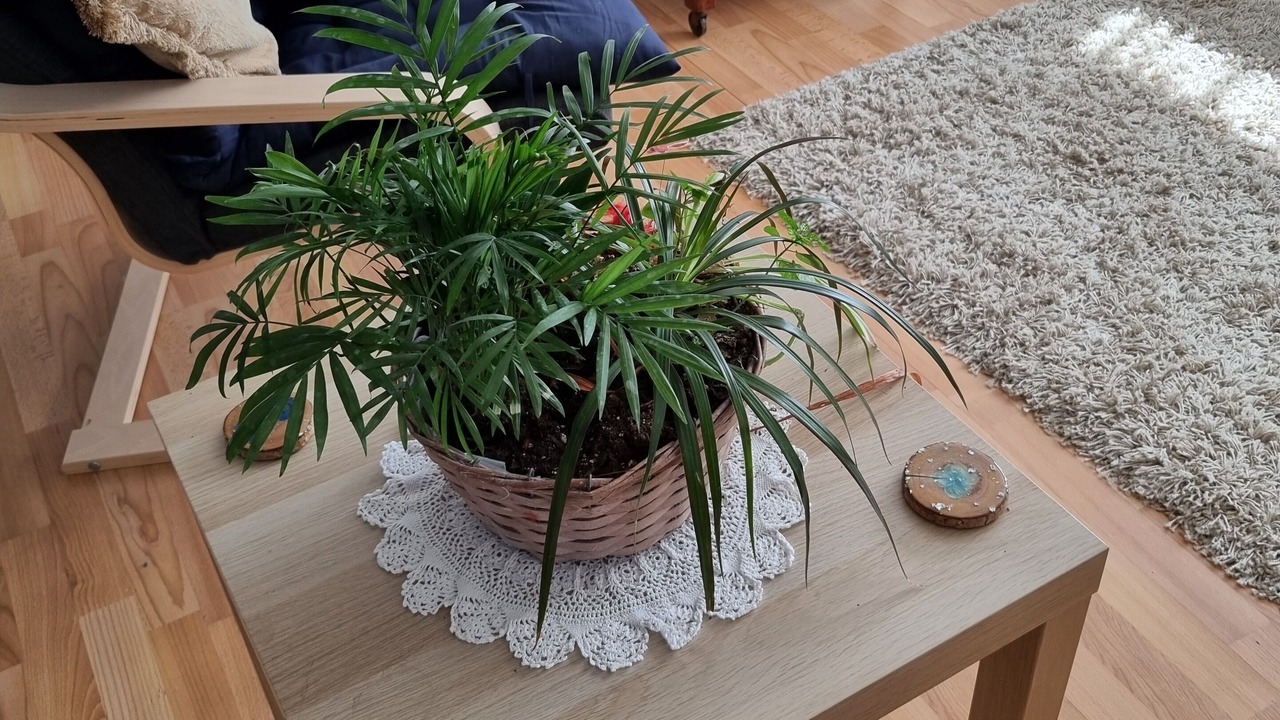 Photo of Livingroom in Chenac-Saint-Seurin-d'Uzet