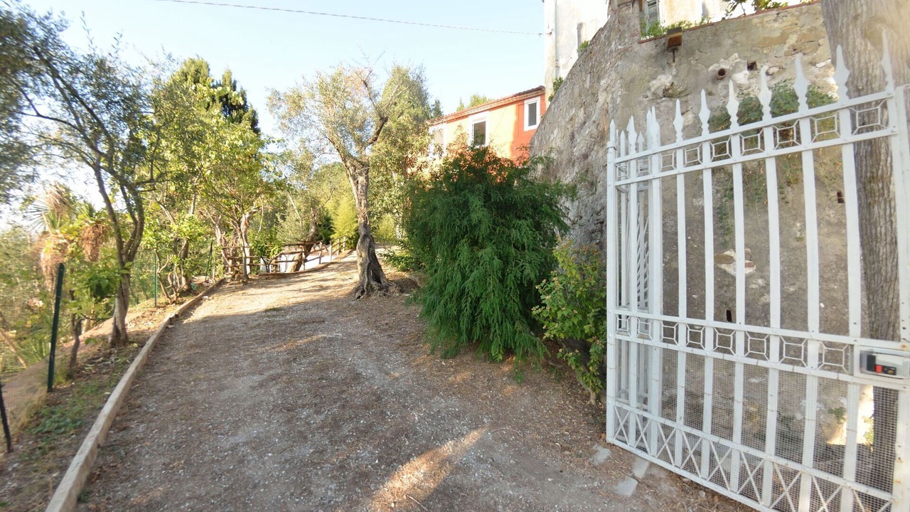 Photo of Outdoor in Massarosa