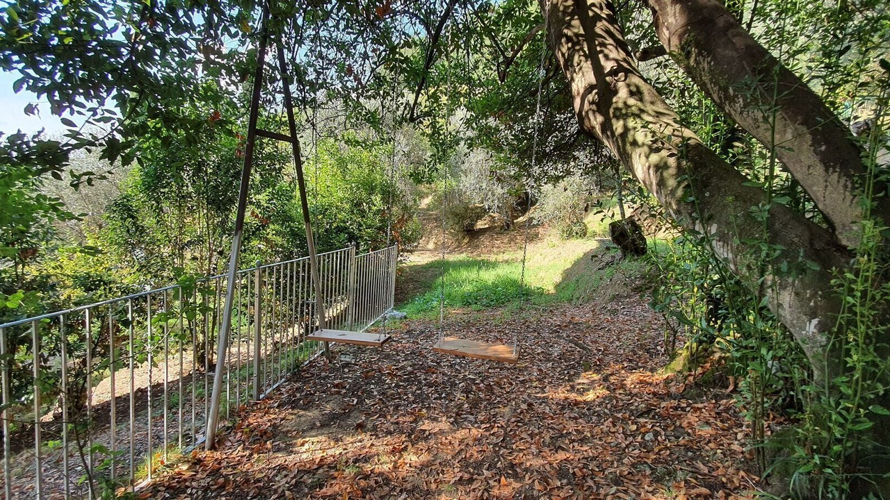 Photo of Outdoor in Massarosa