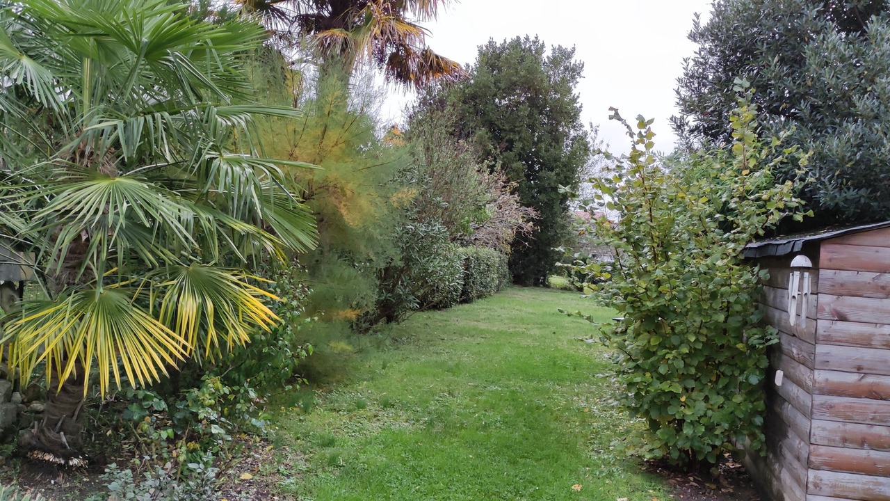 Photo of Outdoor in Saintes