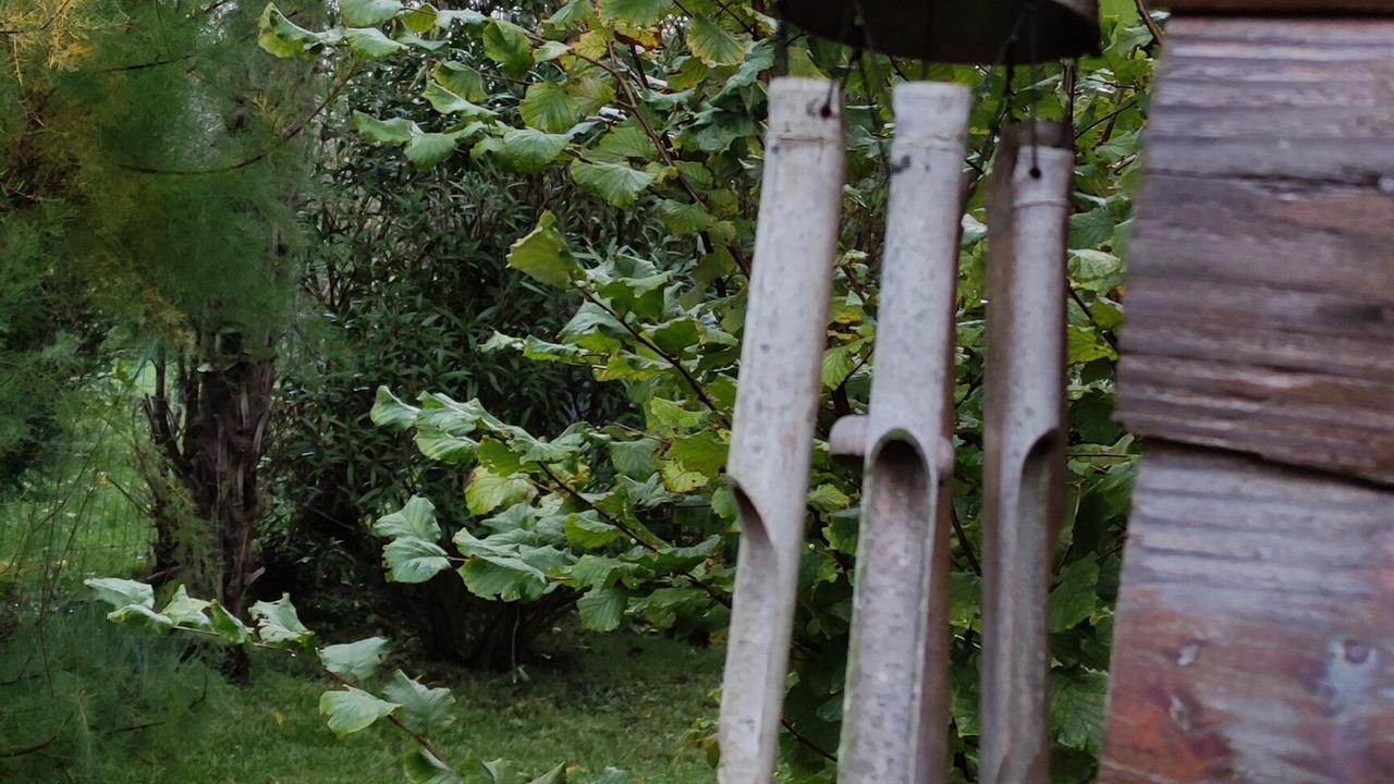 Photo of Outdoor in Saintes