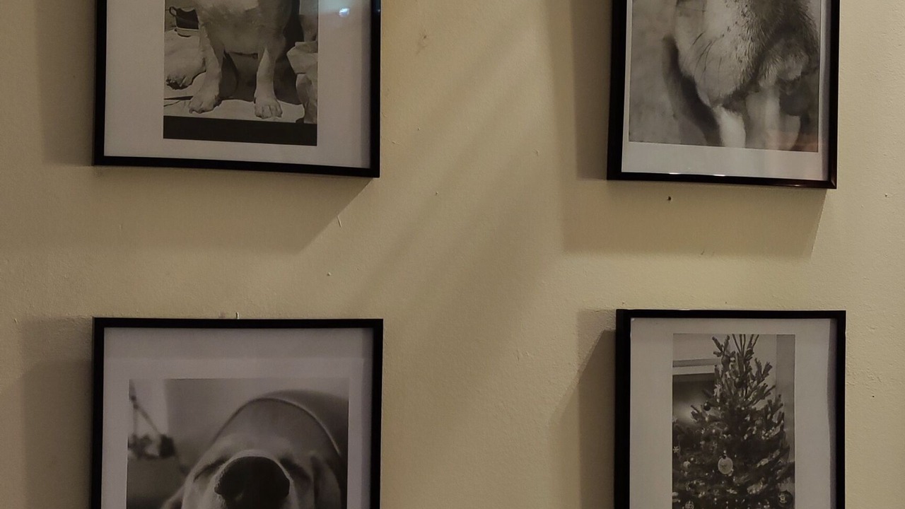 Photo of Others in Saintes