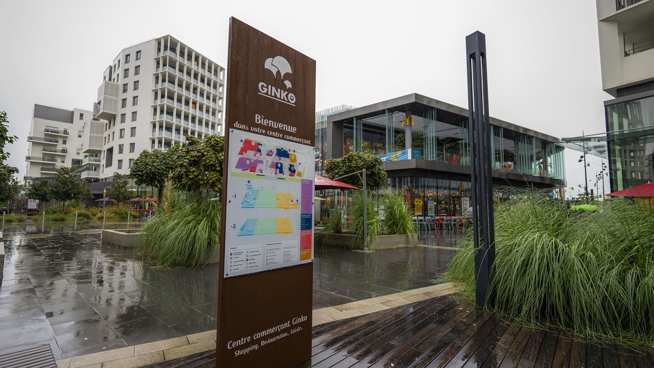 Photo of Outdoor in Ginko