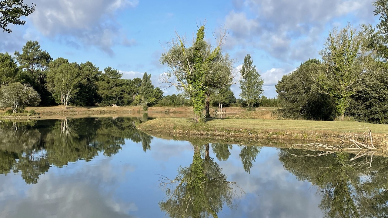 Photo of Others in Queyrac