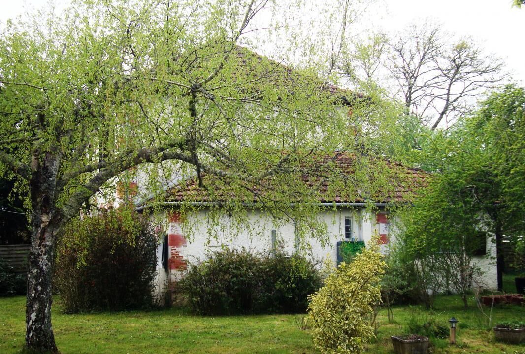 Photo of Outdoor in Solferino