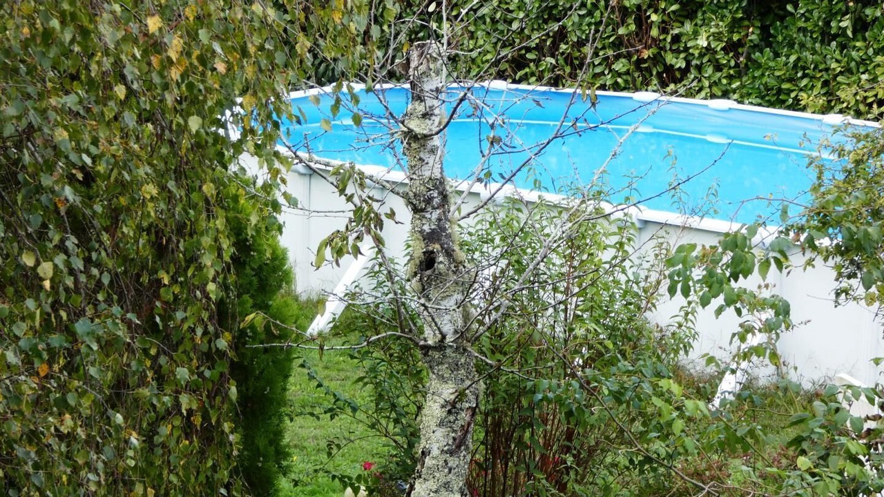 Photo of Outdoor in Solferino