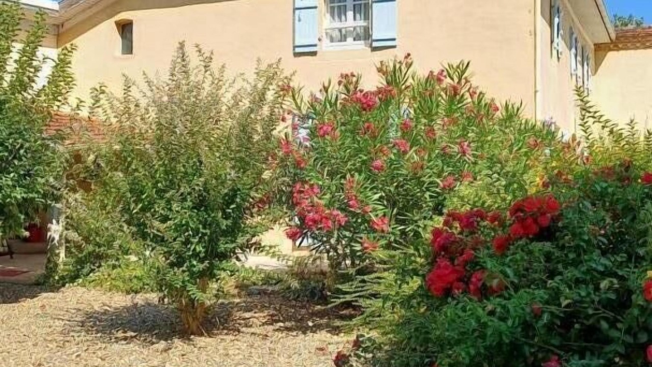 Photo of Outdoor in Lacrabe