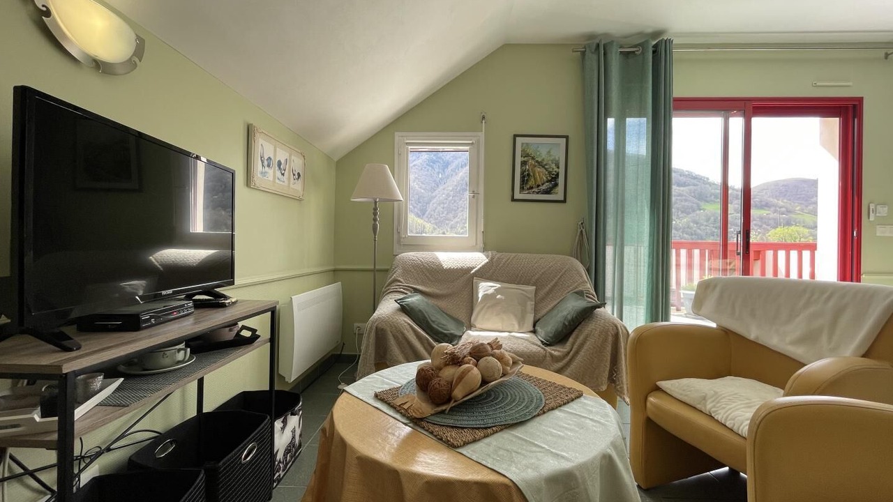 Photo of Livingroom in Aydius