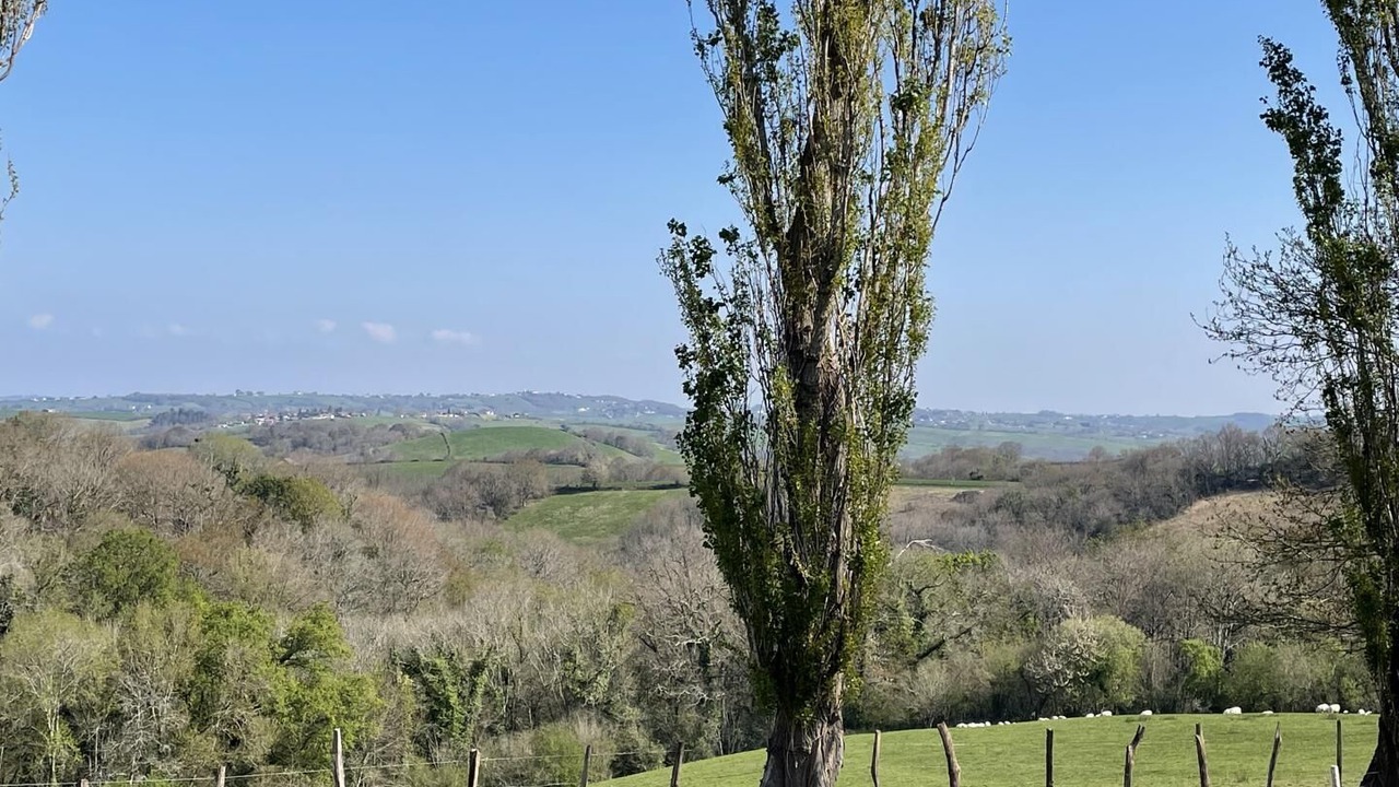 Photo of Others in La Bastide-Clairence