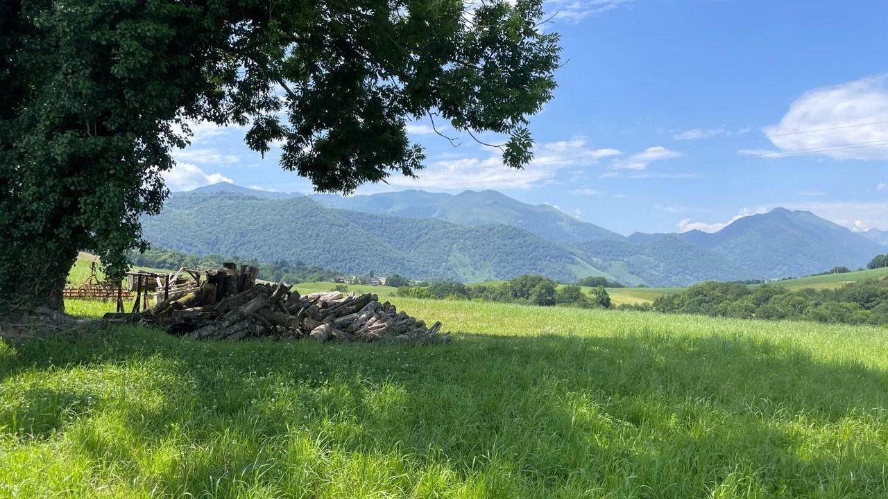 Photo of Outdoor in Asson