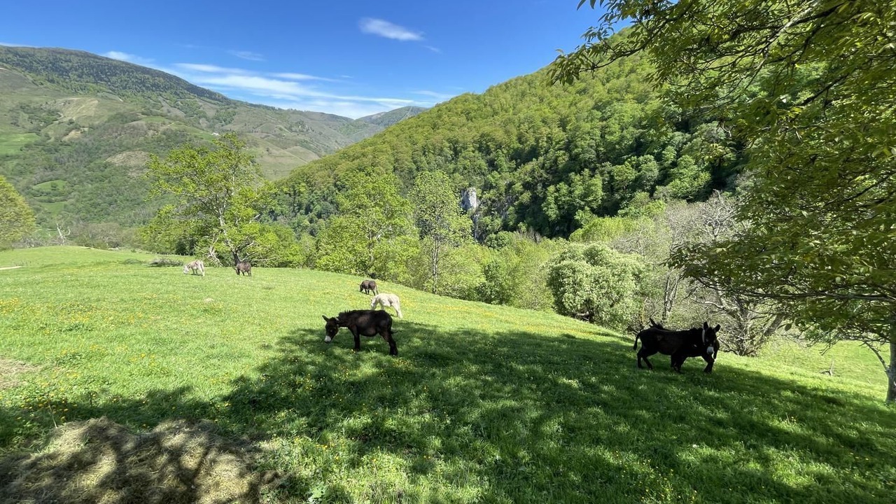 Photo of Outdoor in Sainte-Engrace