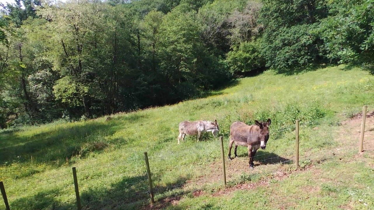 Photo of Outdoor in Saint-Jean-le-Vieux