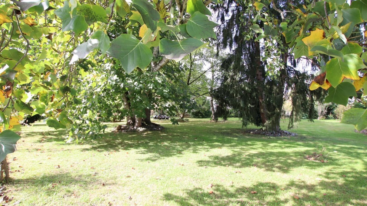 Photo of Outdoor in Geus-d'Oloron
