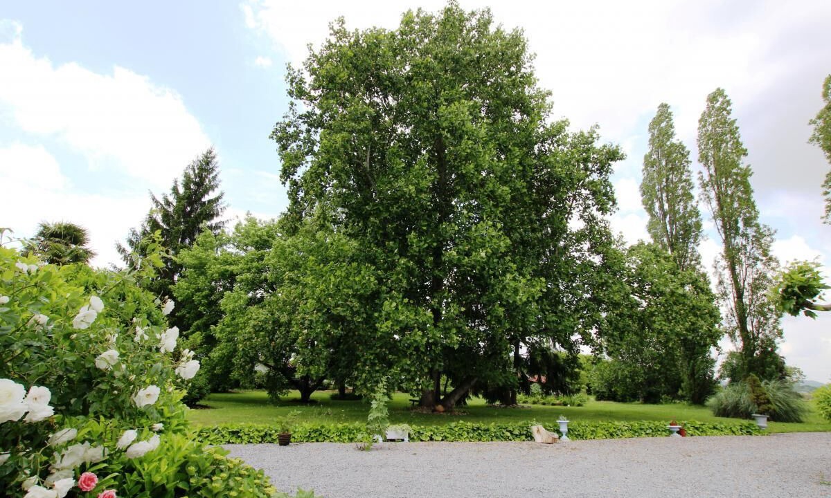Photo of Outdoor in Geus-d'Oloron
