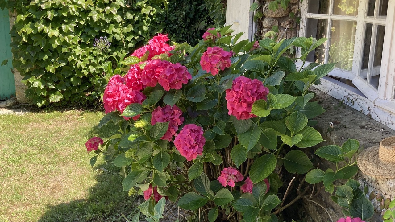 Photo of Outdoor in Loix