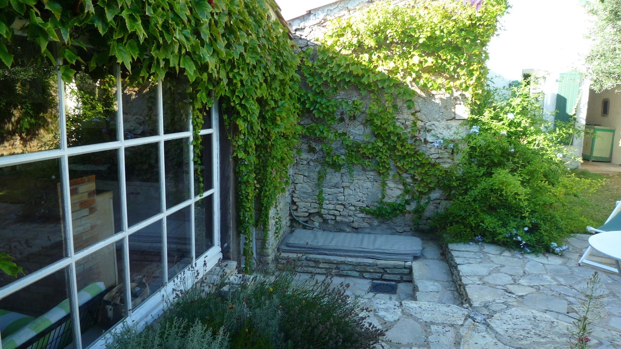 Photo of Outdoor in Loix