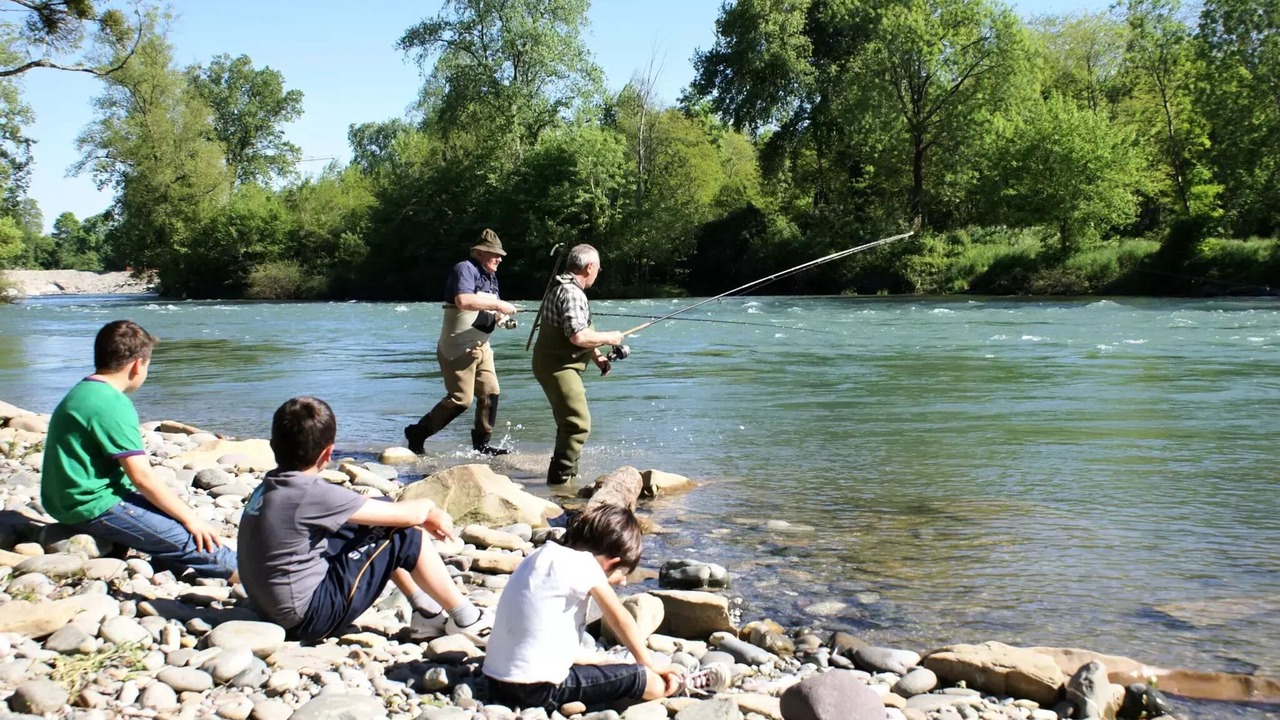 Photo of Others in Navarrenx