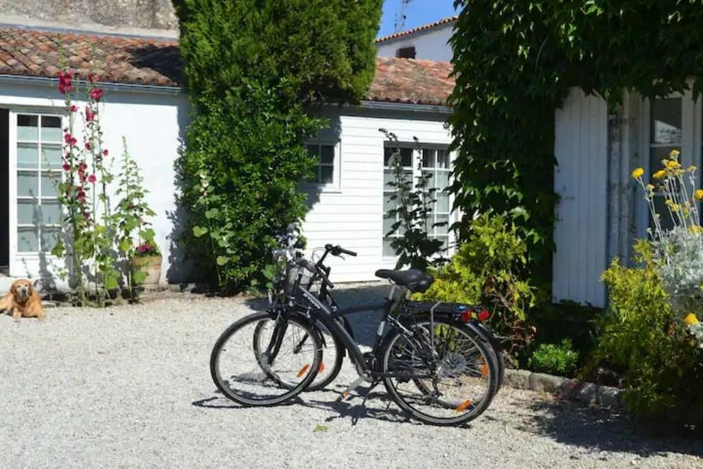 Photo of Outdoor in Marsilly