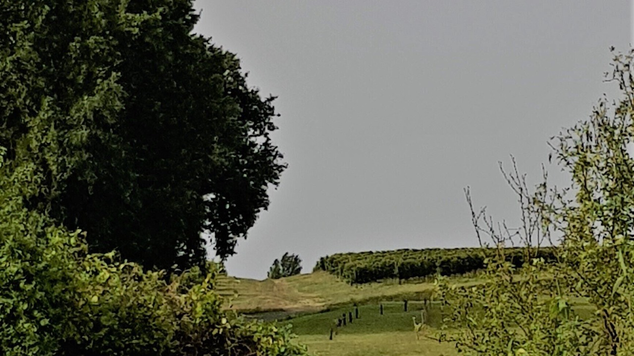 Photo of Others in Mauriac
