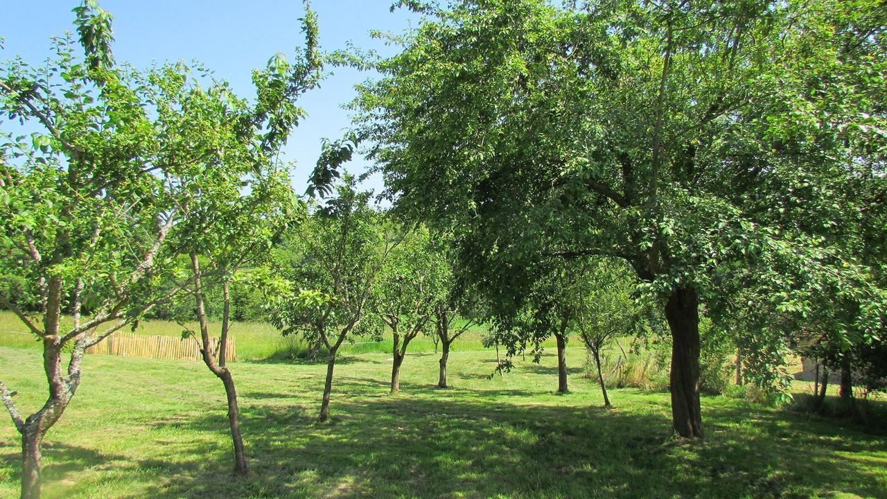 Photo of Others in Nailhac