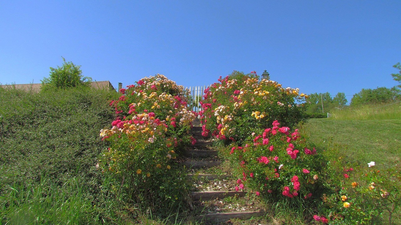 Photo of Outdoor in Nailhac
