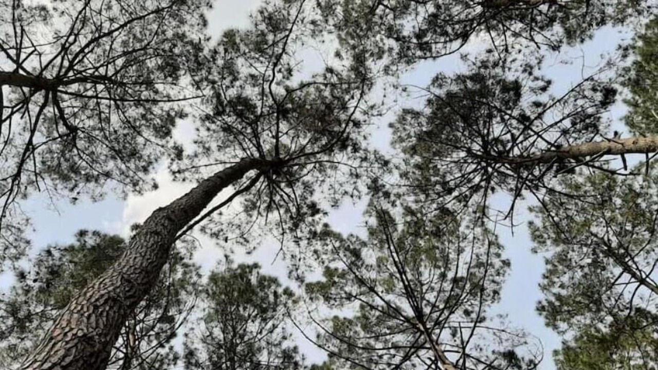 Photo of Outdoor in Bourran