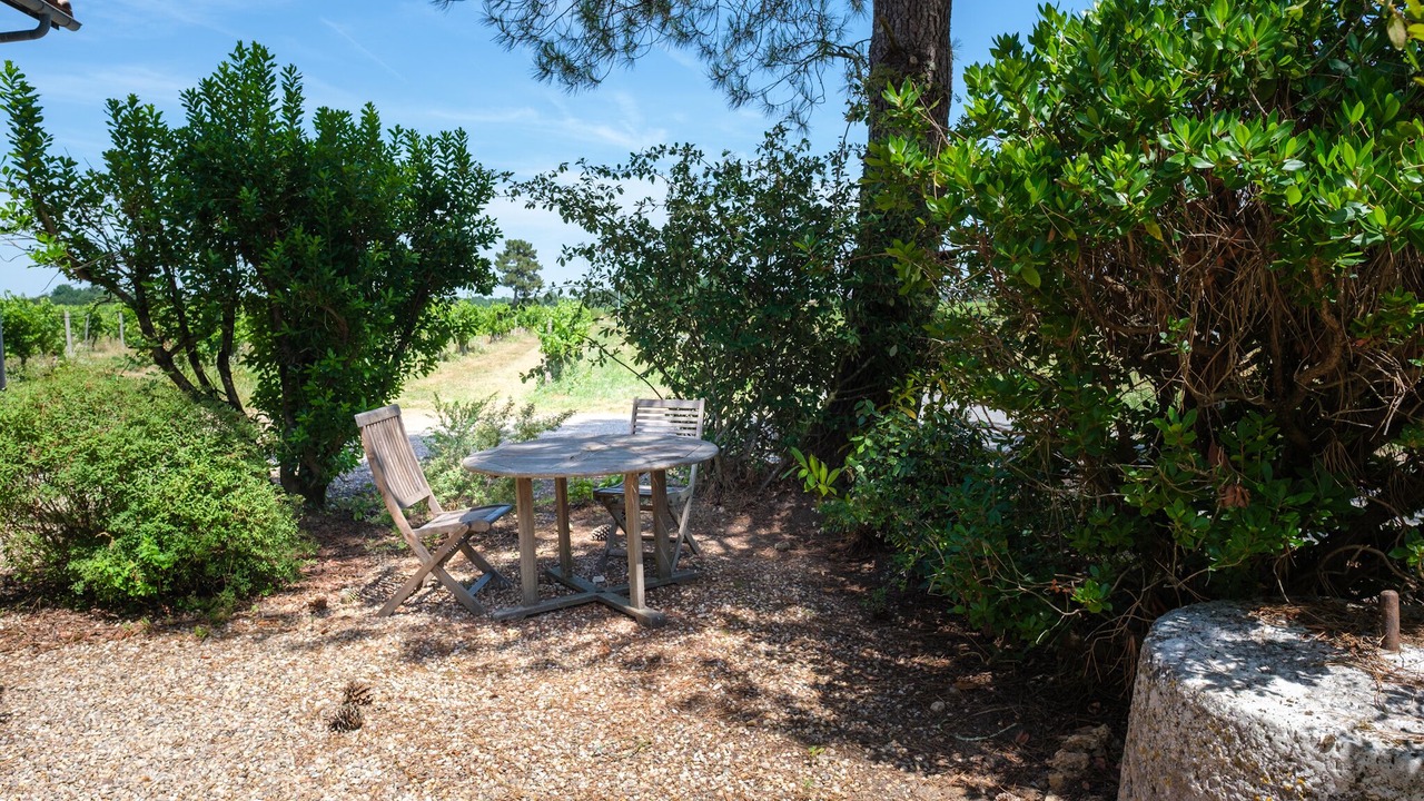Photo of Outdoor in Lamothe-Montravel