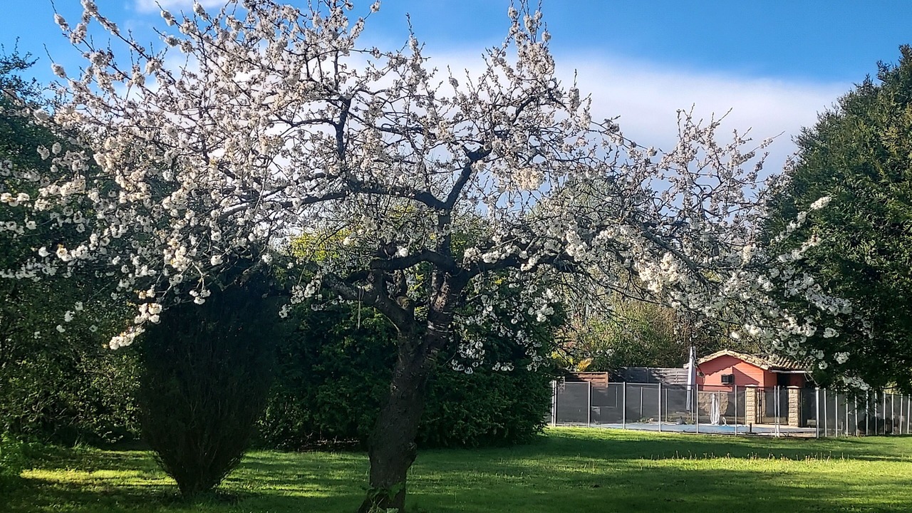 Photo of Outdoor in Chef-Boutonne