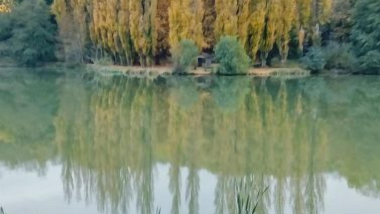 Photo of Outdoor in Prailles