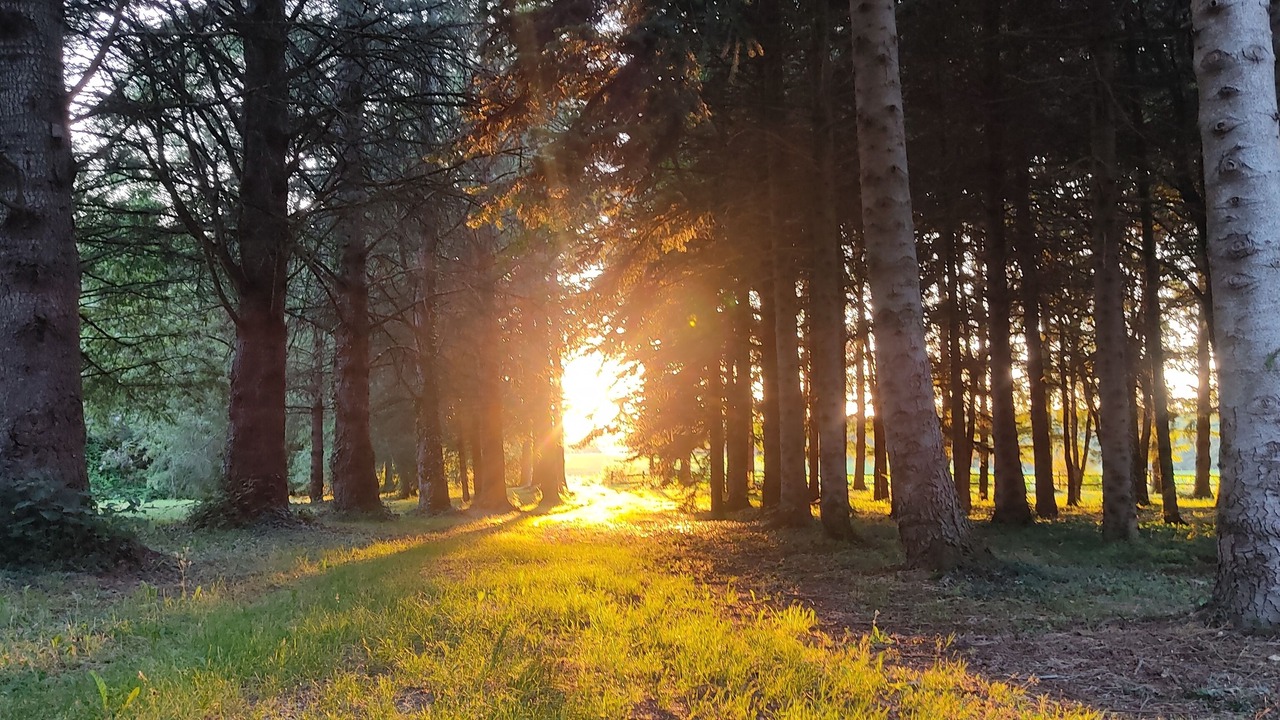 Photo of Outdoor in Chazelles