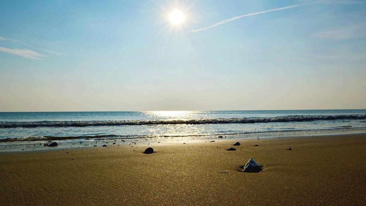 Photo of Others in Le Bois-Plage-en-Re