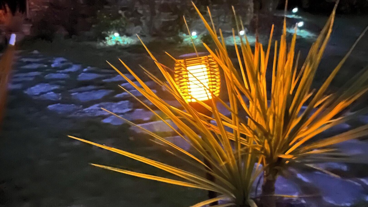 Photo of Outdoor in Haut-de-Bosdarros