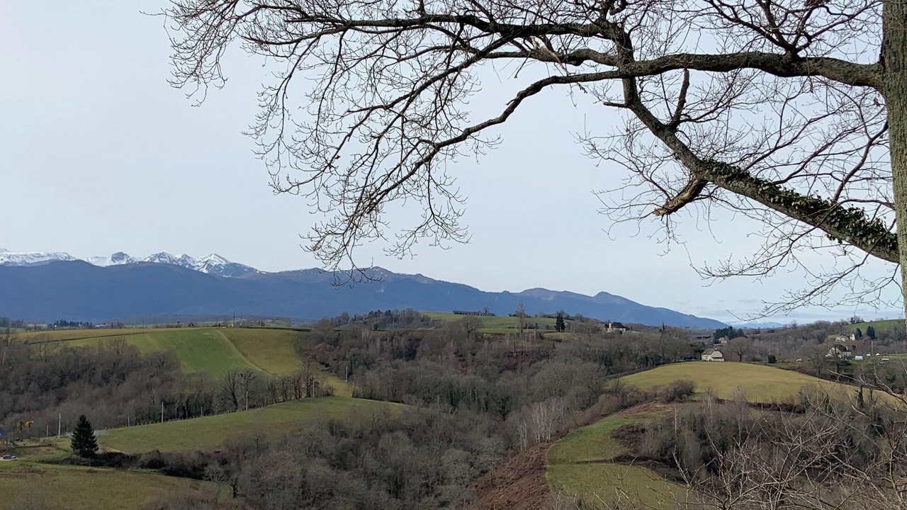 Photo of Others in Haut-de-Bosdarros