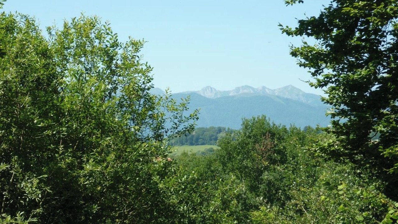 Photo of Outdoor in Haut-de-Bosdarros