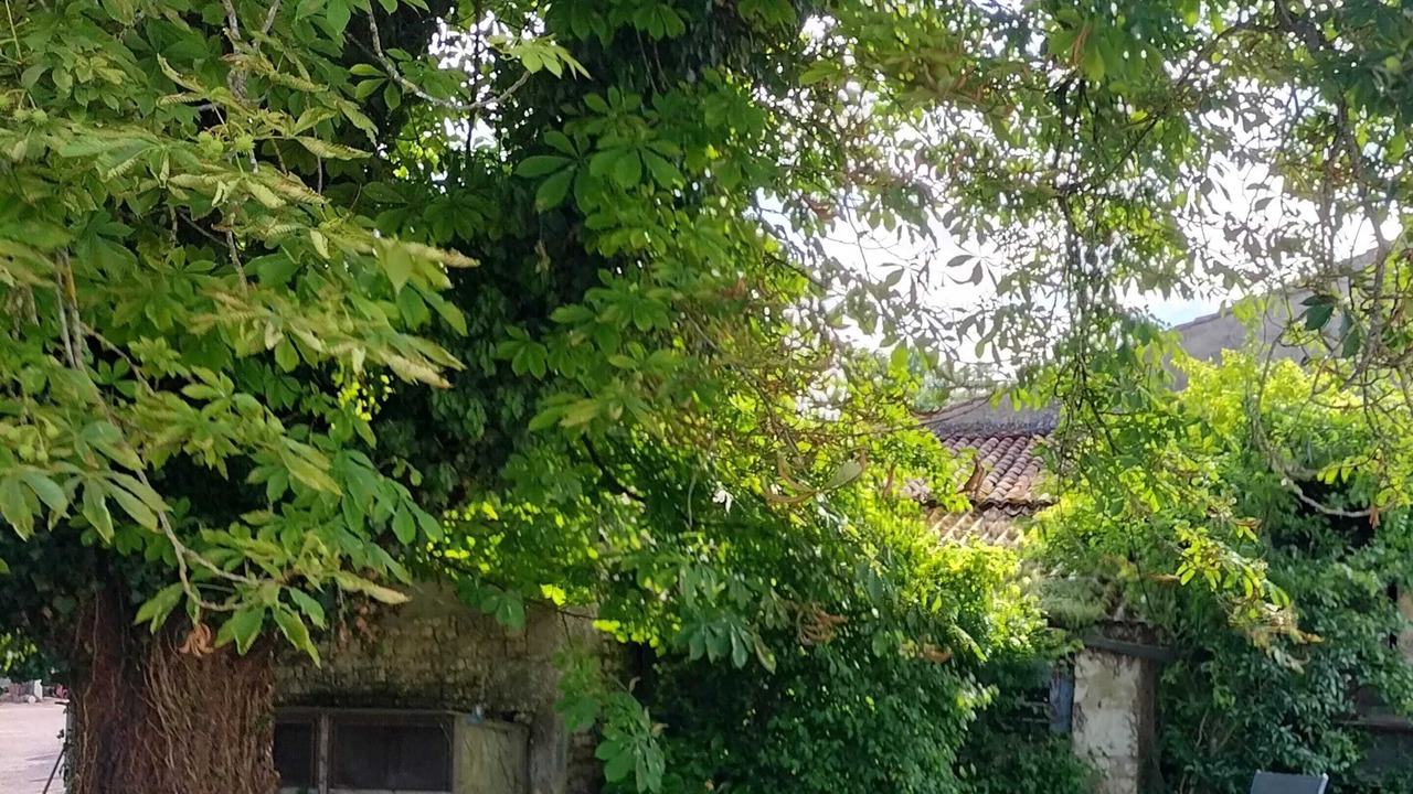 Photo of Outdoor in Antezant-la-Chapelle