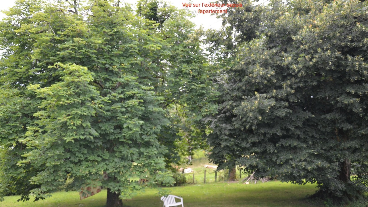 Photo of Outdoor in Orgnac-sur-Vezere