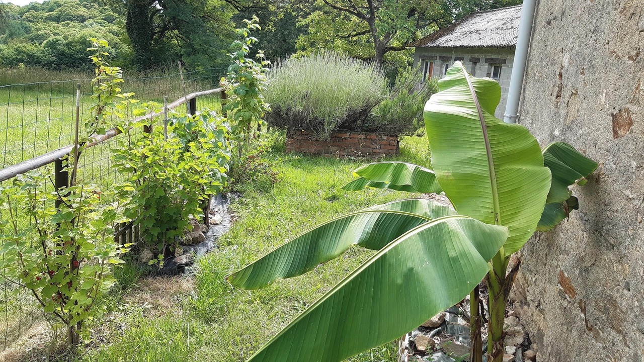 Photo of Outdoor in Orgnac-sur-Vezere