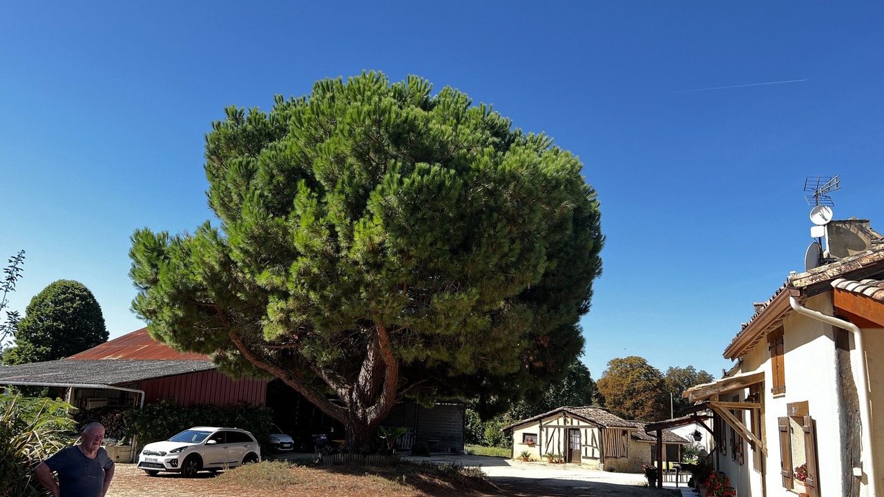 Photo of Outdoor in Cavarc
