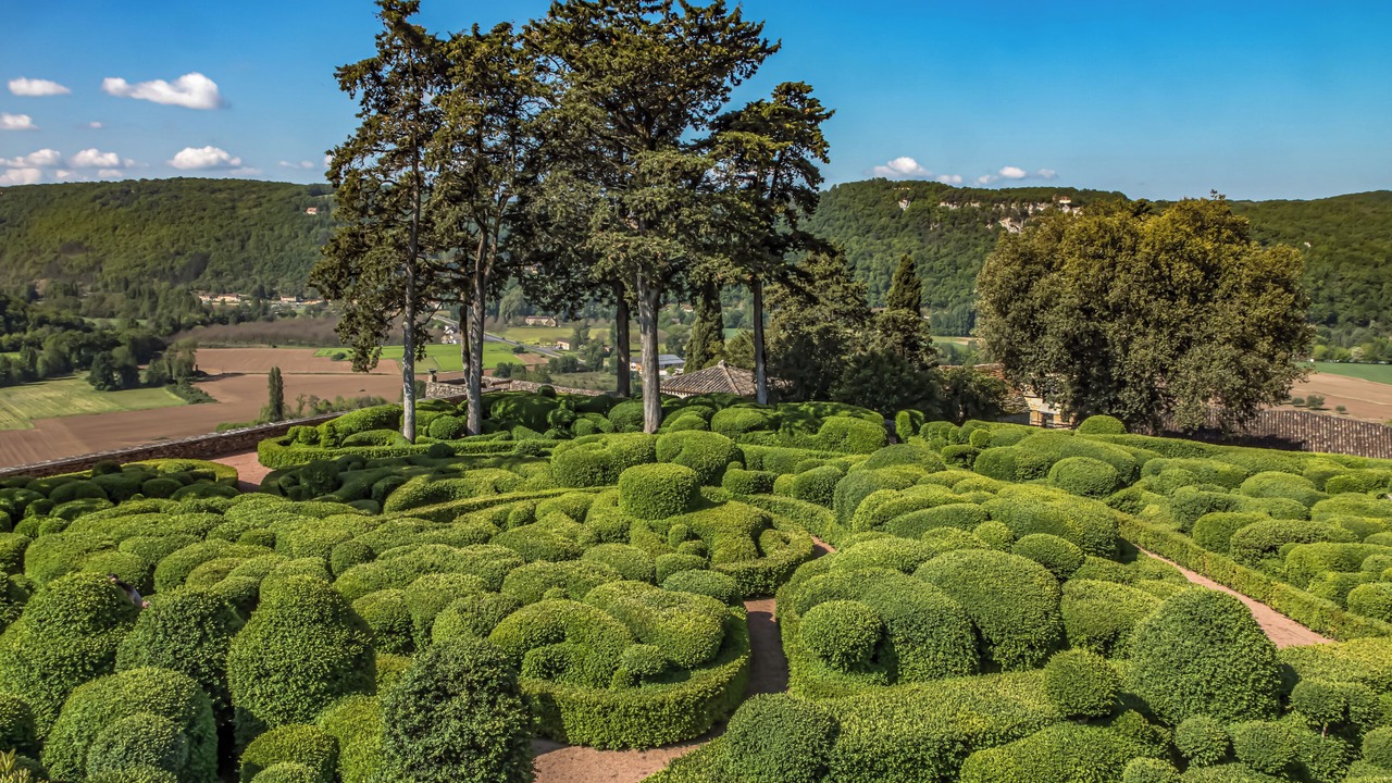 Photo of Outdoor in Libourne