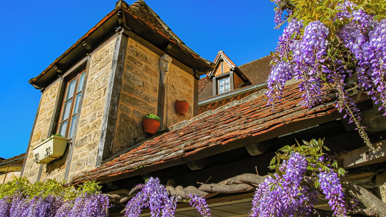 Photo of Outdoor in Libourne