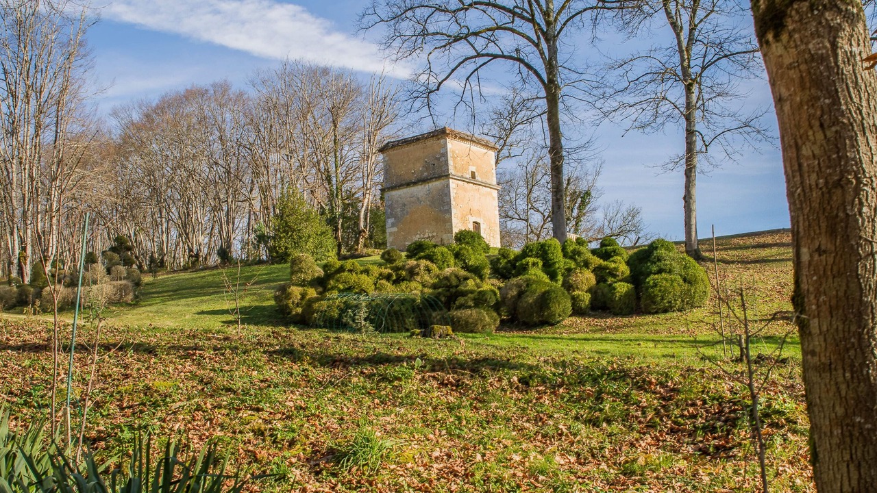 Photo of Outdoor in Libourne