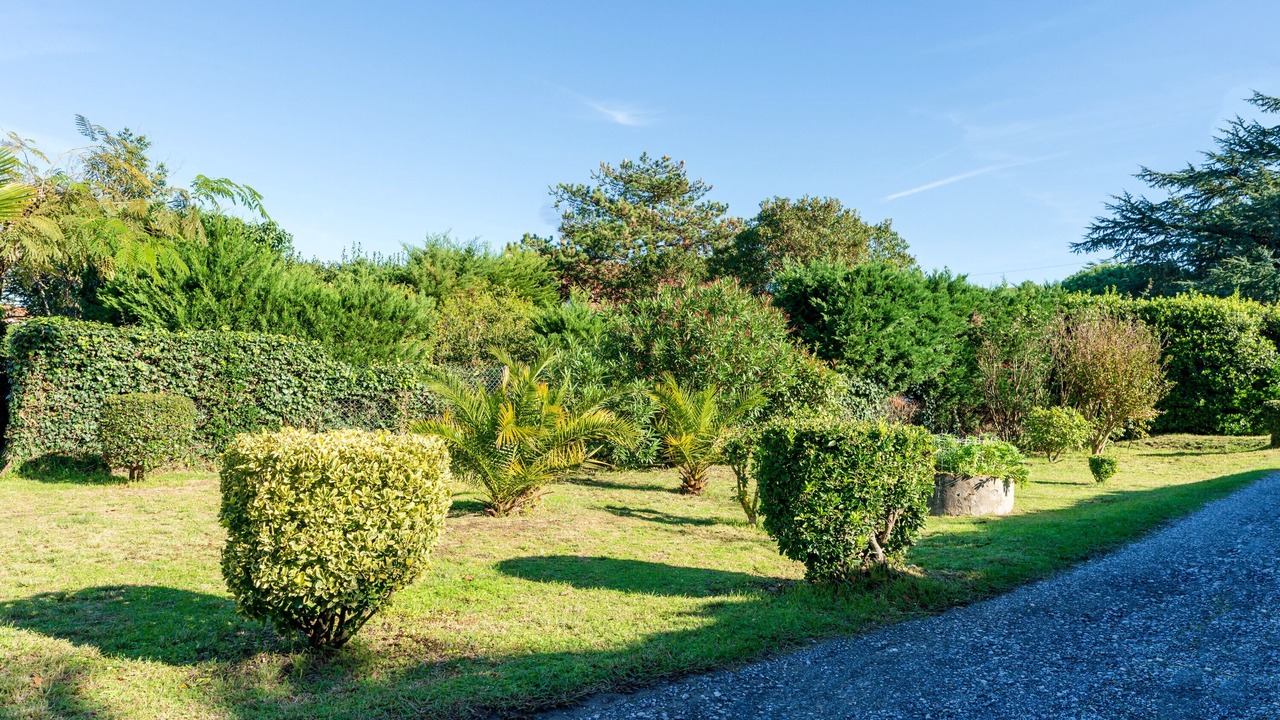 Photo of Outdoor in Boucau