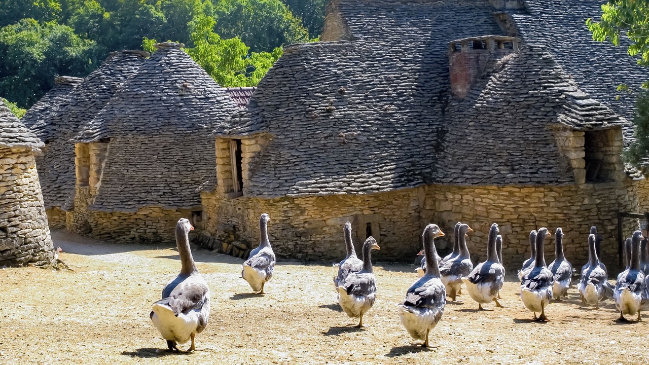 Photo of Others in Bussac