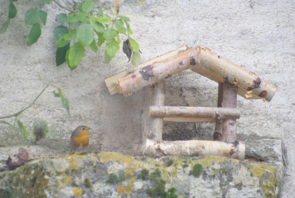 Photo of Outdoor in Blanzay