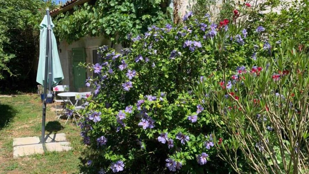 Photo of Outdoor in Blanzay