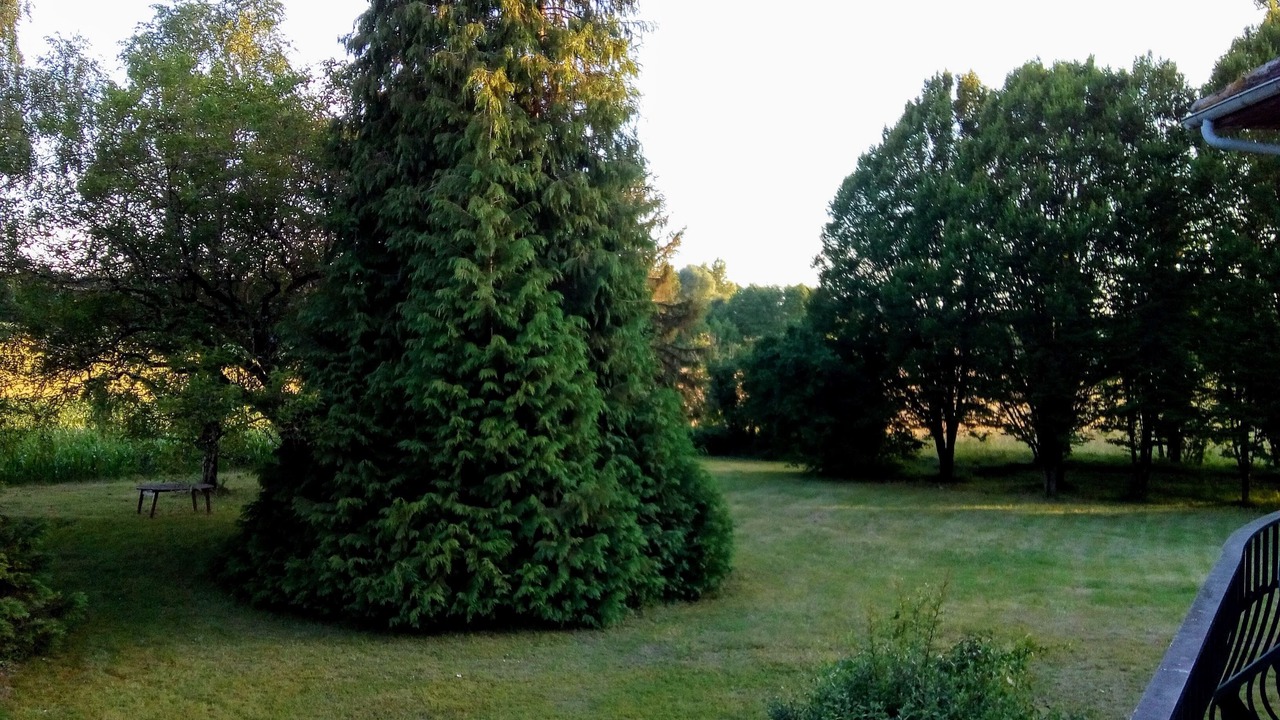 Photo of Outdoor in Saint-Privat-des-Pres
