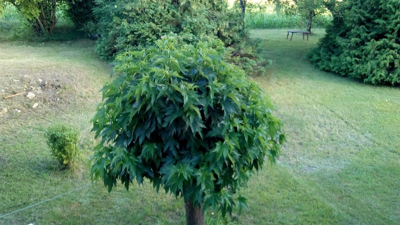 Photo of Outdoor in Saint-Privat-des-Pres
