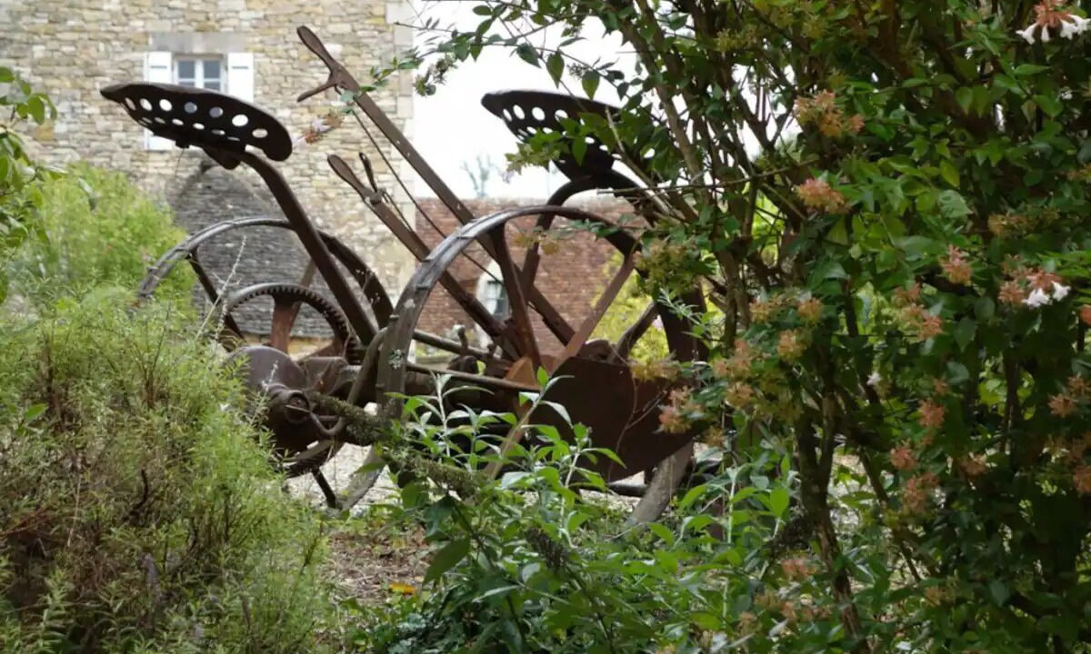Photo of Outdoor in Saint-Cyprien